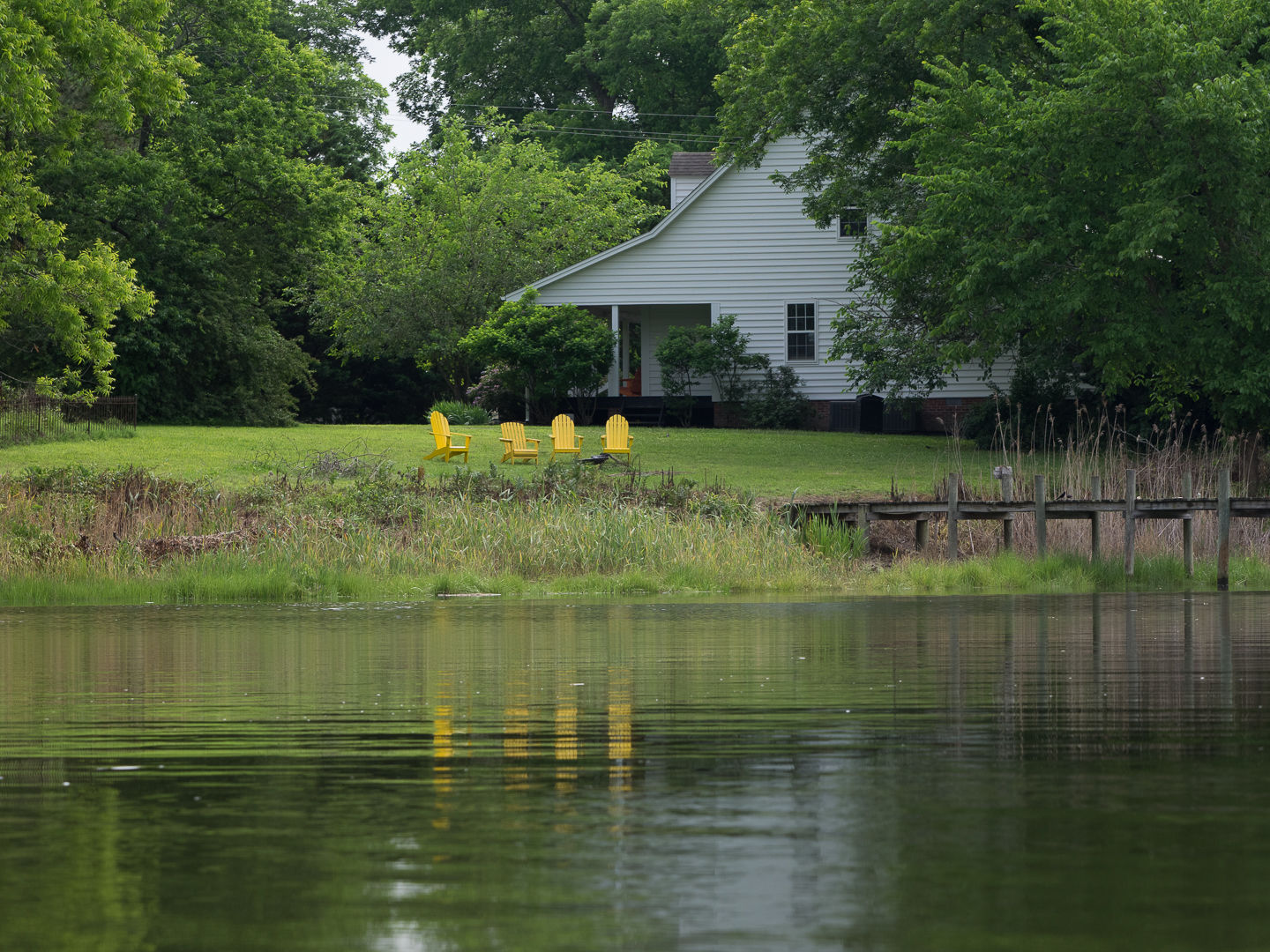 Onancock Creek VA shoreline